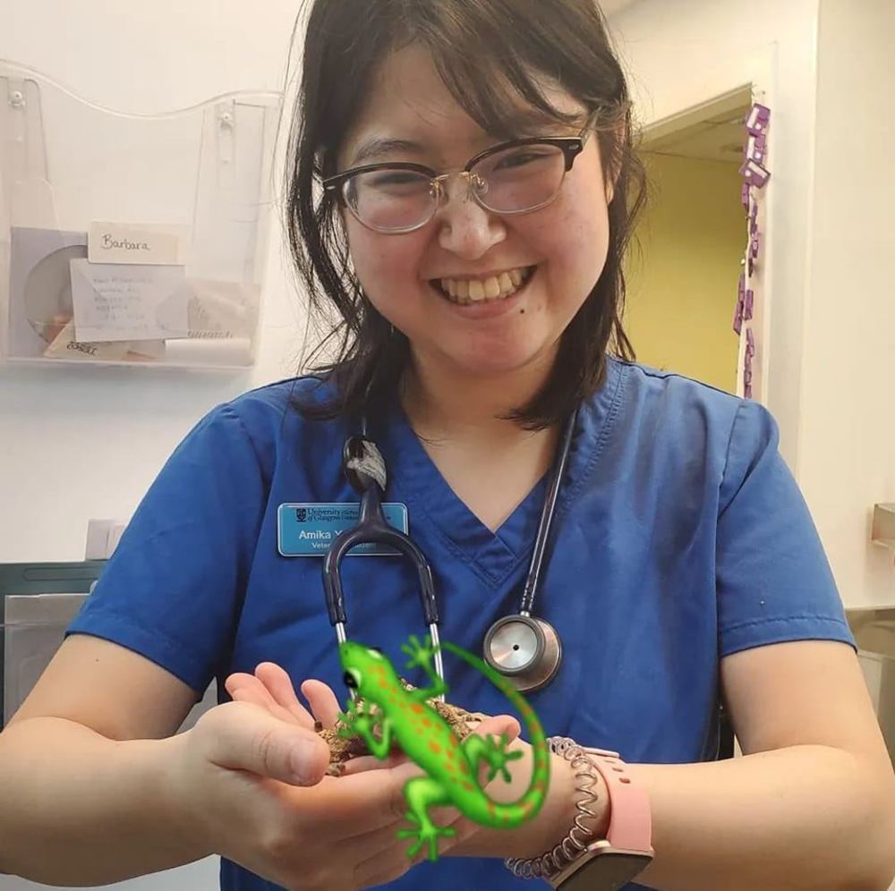 Meet your Posher, Agy